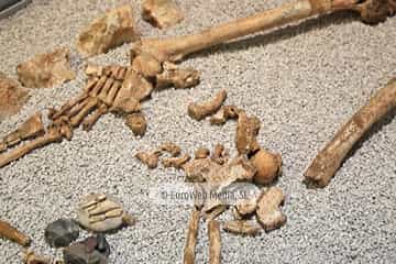Museo Arqueológico del Principado de Asturias
