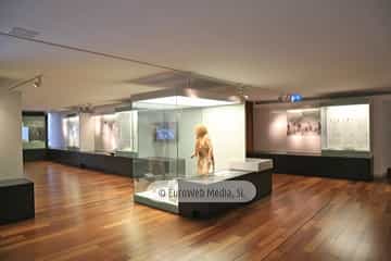 Museo Arqueológico del Principado de Asturias