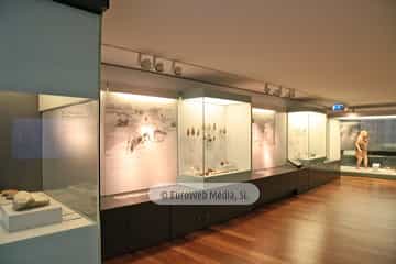 Museo Arqueológico del Principado de Asturias