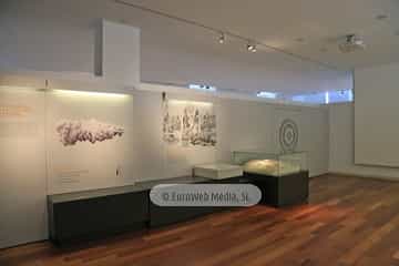 Museo Arqueológico del Principado de Asturias