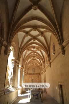 Museo Arqueológico del Principado de Asturias