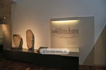 Museo Arqueológico del Principado de Asturias