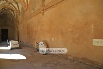 Museo Arqueológico del Principado de Asturias