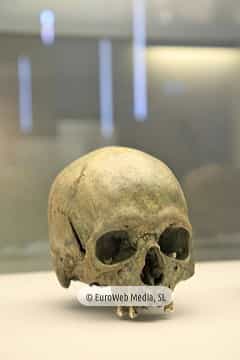 Museo Arqueológico del Principado de Asturias