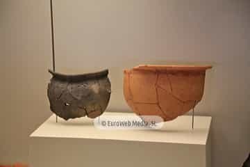 Museo Arqueológico del Principado de Asturias