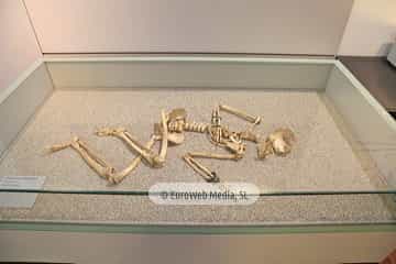 Museo Arqueológico del Principado de Asturias