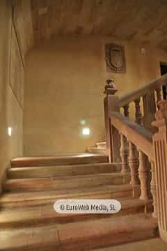 Museo Arqueológico del Principado de Asturias