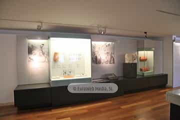 Museo Arqueológico del Principado de Asturias