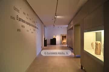 Museo Arqueológico del Principado de Asturias