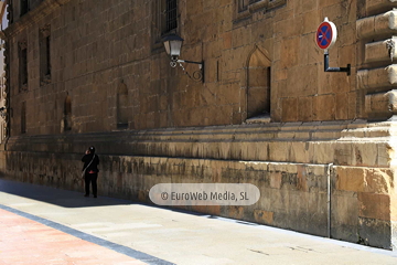 Palacio del Marqués de Campo Sagrado. Palacio del Marqués de Camposagrado