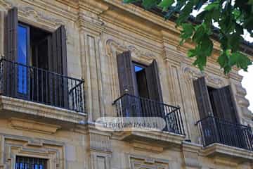 Palacio del Marqués de San Feliz o del Duque del Parque