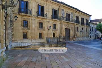 Palacio del Marqués de San Feliz o del Duque del Parque