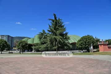 Palacio Municipal de los Deportes de Oviedo