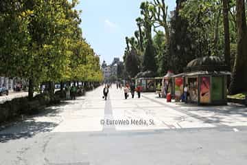 Campo o Parque de San Francisco
