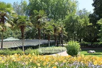 Campo o Parque de San Francisco