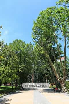Campo o Parque de San Francisco