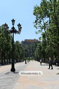 Campo o Parque de San Francisco