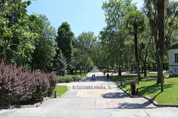 Campo o Parque de San Francisco