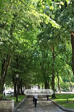 Campo o Parque de San Francisco