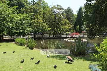 Campo o Parque de San Francisco