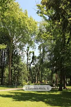 Campo o Parque de San Francisco