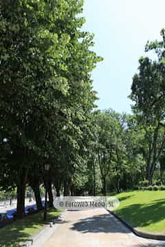 Campo o Parque de San Francisco