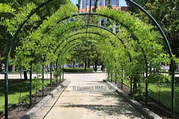 Campo o Parque de San Francisco