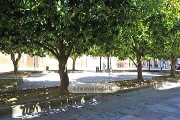 Plaza Corrada del Obispo