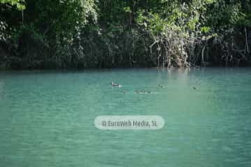 Pantano de Valdemurio. Embalse de Valdemurio