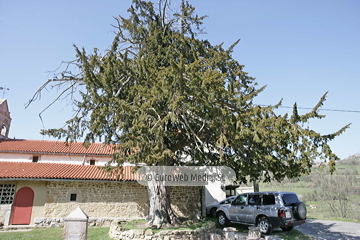 Iglesia de San Antonio de Padua de Pedroveya