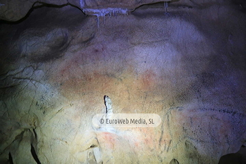 Cueva de Tito Bustillo