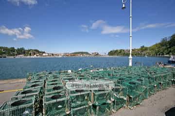 Puerto de Ribadesella. Puerto deportivo de Ribadesella