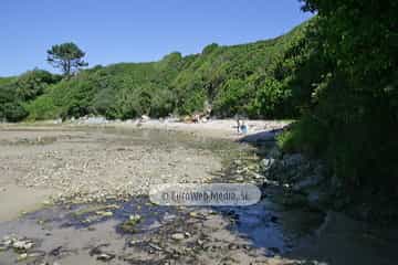Playa de la Paloma