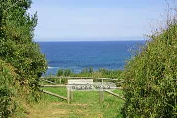 Playa de las Poleas