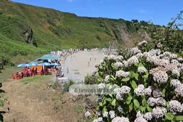 Playa Salinas (Luarca). Playa Salinas