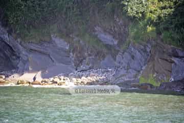 Playa Tazones