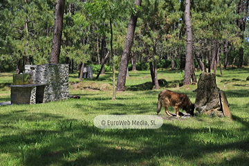 Area recreativa Monte Valsera