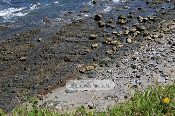 Playa de El Carreiro