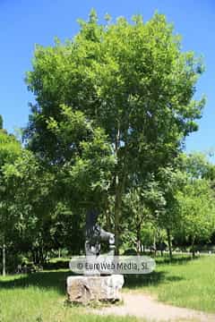 Escultura «Oso»