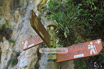 Senda del Oso (Tuñón - Santo Adriano). Senda del Oso