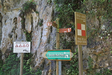 Senda del Oso (Tuñón - Santo Adriano). Senda del Oso