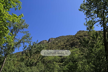 Senda del Oso (Tuñón - Santo Adriano). Senda del Oso