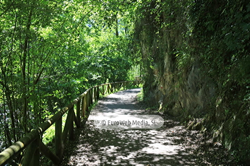 Senda del Oso (Tuñón - Santo Adriano). Senda del Oso