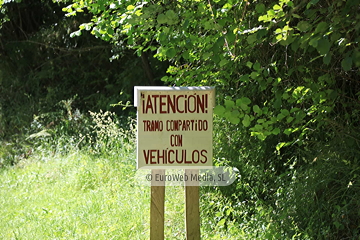 Senda del Oso (Tuñón - Santo Adriano). Senda del Oso