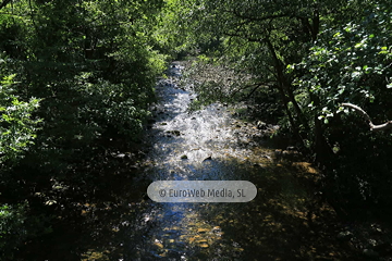 Senda del Oso (Tuñón - Santo Adriano). Senda del Oso