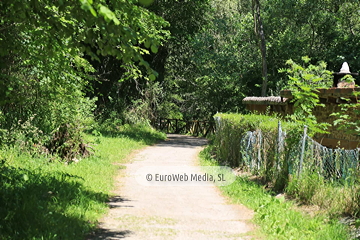 Senda del Oso (Tuñón - Santo Adriano). Senda del Oso