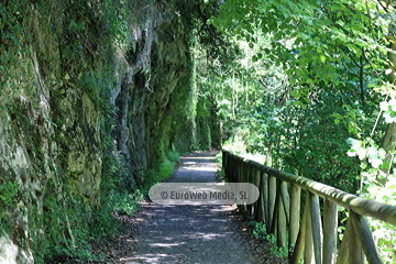 Senda del Oso (Tuñón - Santo Adriano). Senda del Oso
