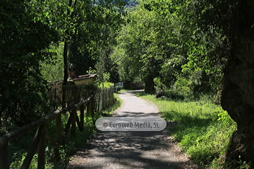 Senda del Oso (Tuñón - Santo Adriano). Senda del Oso