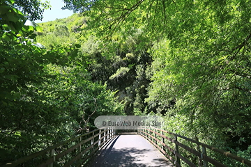 Senda del Oso (Tuñón - Santo Adriano). Senda del Oso