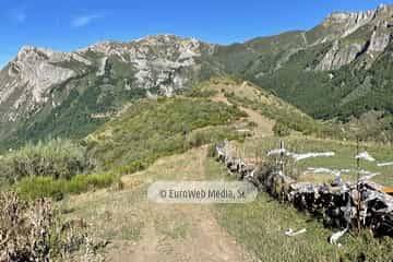 Mirador del Rey